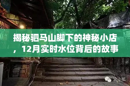 驷马山脚下的神秘小店，探索隐藏小巷的别样风情与实时水位背后的故事