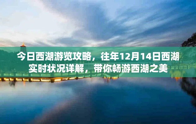 畅游西湖，今日游览攻略及往年实时状况详解