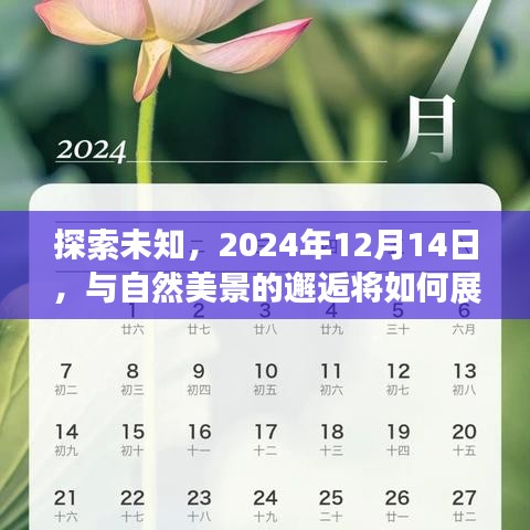 探索未知，自然美景的邂逅，2024年12月14日的奇妙之旅