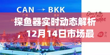 探鱼器实时动态解析，市场最低价背后的技术揭秘（12月14日）