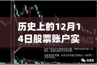 历史上的12月14日股票账户实时交易时间深度解析与观点探讨