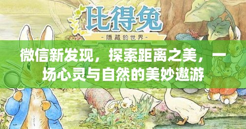 微信新发现，心灵与自然的距离之美探索之旅