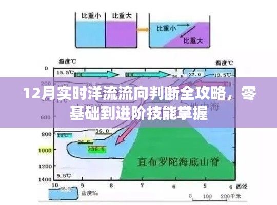 从零到进阶，掌握12月实时洋流流向判断全攻略