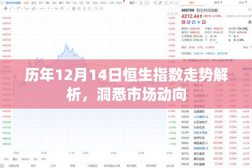 历年12月14日恒生指数走势深度解析，洞悉市场趋势与动向