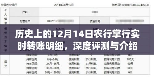 农行掌行实时转账明细深度评测及介绍，历史视角下的12月14日回顾