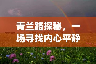 2024年12月16日 第25页