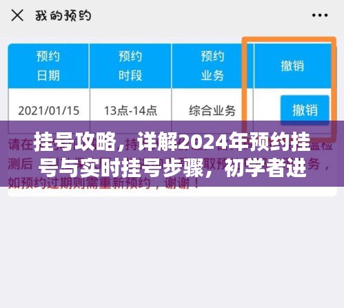 挂号攻略详解，预约挂号与实时挂号步骤初学者进阶指南（2024版）