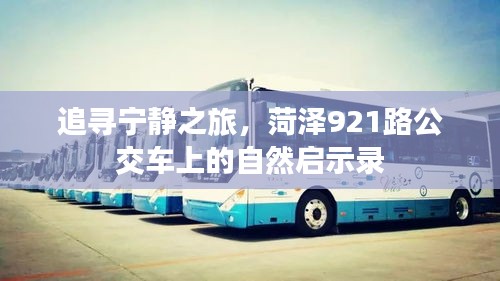 菏泽921路公交车，自然启示录的宁静之旅