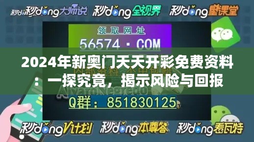 2024年新奥门天天开彩免费资料：一探究竟，揭示风险与回报