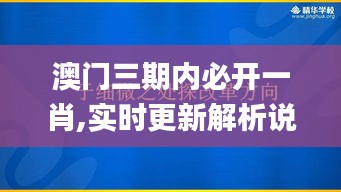 澳门三期内必开一肖,实时更新解析说明_9DM7.894