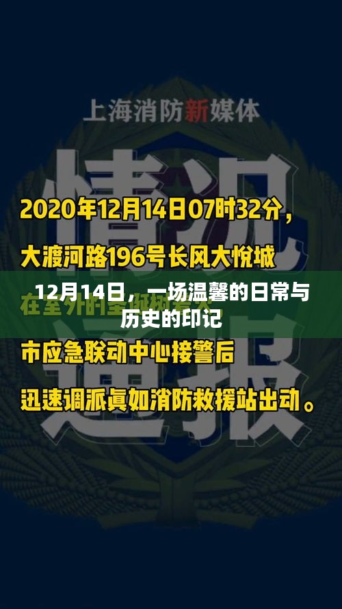 温馨日常与历史印记的交融，12月14日纪事