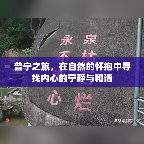 普宁之旅，自然怀抱中的内心宁静与和谐探索