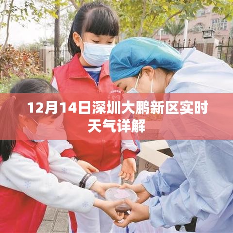 深圳大鹏新区12月14日实时天气详解