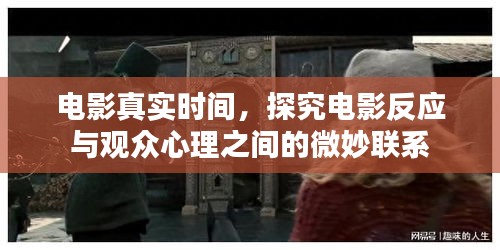 电影真实时刻，探究观众心理与电影反应的微妙联系