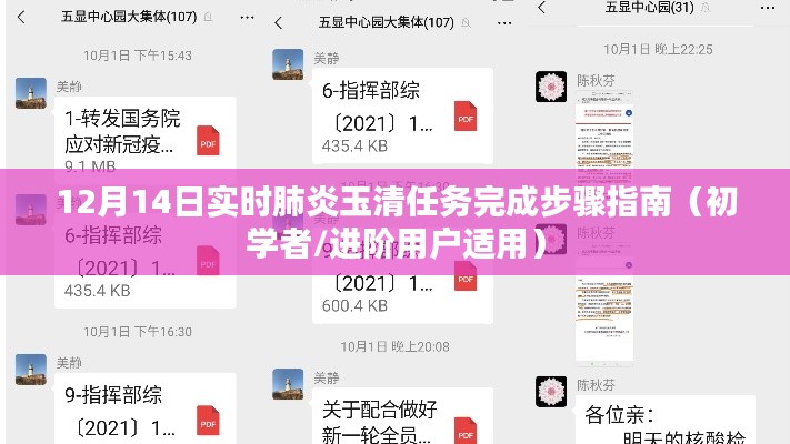 12月14日肺炎玉清任务完成指南，初学者与进阶用户适用