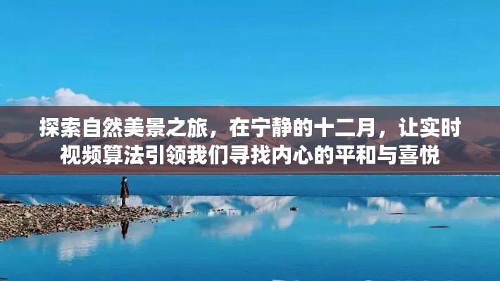 十二月自然探索之旅，实时视频算法引领内心平和与喜悦的追寻