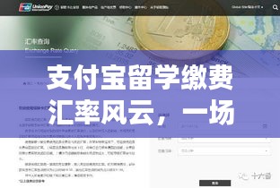 支付宝留学缴费背后的汇率风云与友情的温馨故事