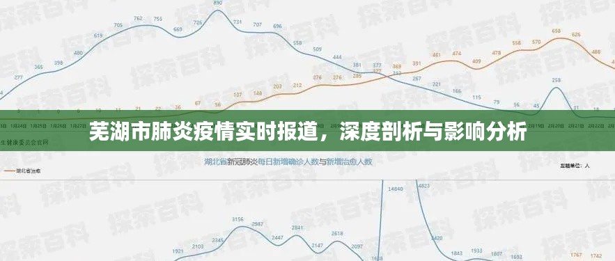 芜湖市肺炎疫情实时报道及深度影响分析