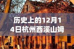 揭秘杭州西溪山姆实时重要时刻与事件，历史上的12月14日回顾