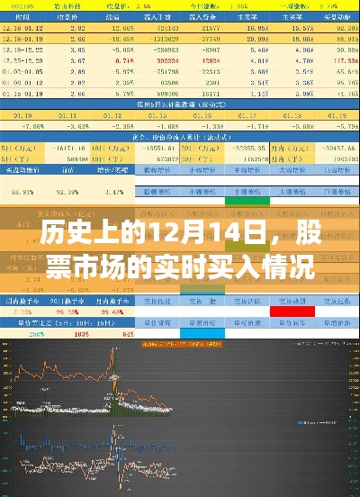 12月14日股票市场实时买入深度解析