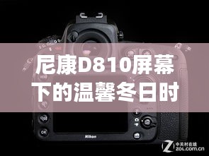 尼康D810下的冬日温馨时光