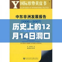 历史上的12月14日洞口疫情实时报告，科技重塑防控格局，智能监测新纪元开启