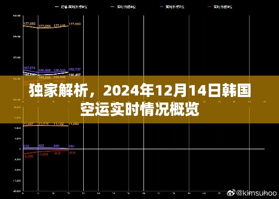 独家解析，韩国空运实时概览报告（2024年12月14日）