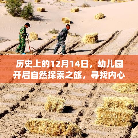 幼儿园自然探索之旅，寻找内心的宁静绿洲——历史上的12月14日回顾