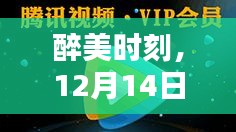 2024年12月17日 第8页