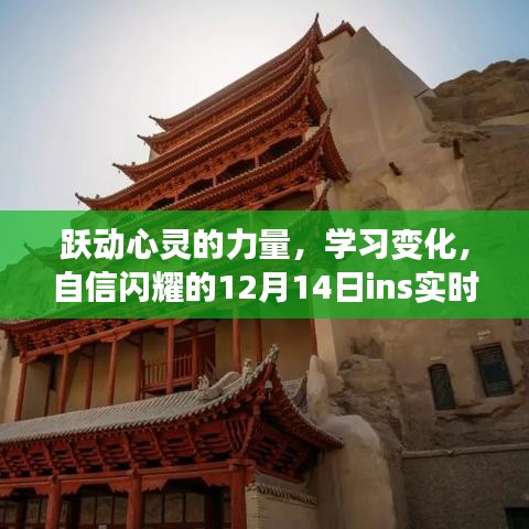 跃动心灵的力量，学习变化与自信的闪耀——广场实时活动报道（12月14日ins）