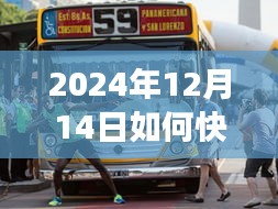 如何快速查询扬州实时公交信息（2024年12月14日指南）