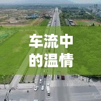 深圳行，车流中的温情纽带，一家人的奇妙旅程