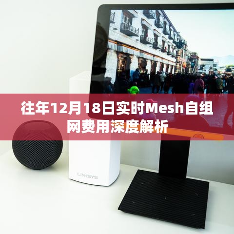 往年12月18日实时Mesh自组网费用深度探讨