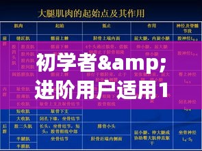 12月新乐天气查询与应对指南，适合初学者与进阶用户参考