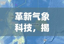 2024年12月18日 第11页