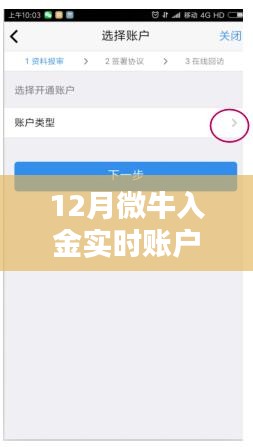 12月微牛入金实时验证，开启投资新旅程