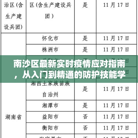 南沙区疫情应对指南，入门到精通的防护技能全解析