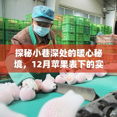 探秘小巷深处的暖心秘境，苹果小店、实时体温与十二月的温情故事