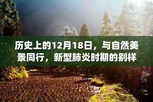 12月18日历史上的别样旅行启示，自然美景下的新型肺炎时代启示录