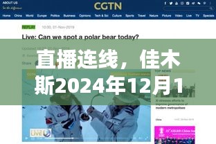 直播连线，佳木斯路上的温情时光——2024年12月18日纪实