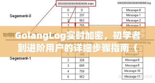 GolangLog实时加密，初学者到进阶用户详细指南（最新版 2024）