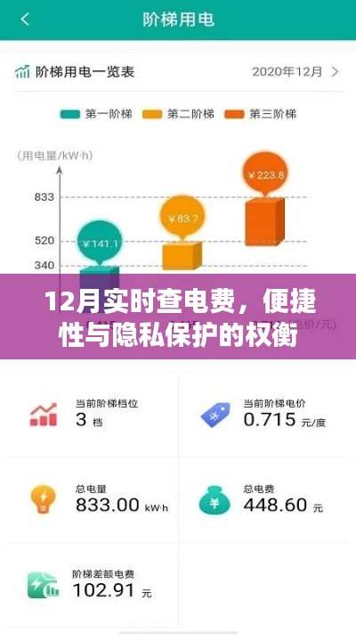 12月电费实时查询，便捷性与隐私保护的平衡点