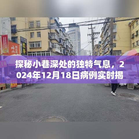 探秘小巷深处，病例揭秘与隐藏特色小店的奇遇记（2024年12月18日）