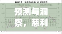 慈利火灾未来实时情况展望报告，预测与洞察（2024年视角分析）