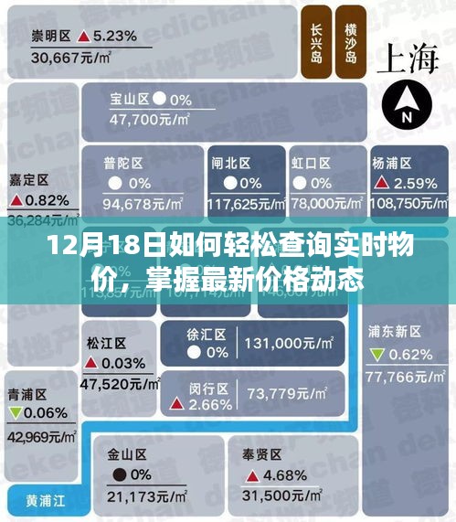 12月18日，轻松查询实时物价，掌握最新价格动态攻略