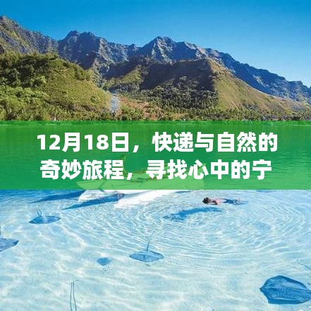 快递与自然之旅，探寻心灵宁静胜地