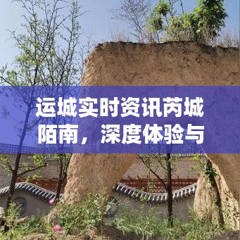 运城芮城陌南深度体验与竞品分析，实时资讯解读