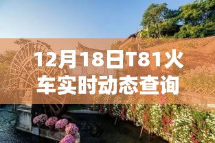 12月18日T81火车实时动态查询，轻松掌握行程信息一览