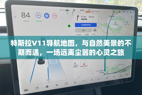 特斯拉V11导航地图引领的心灵之旅，与自然美景的不期而遇