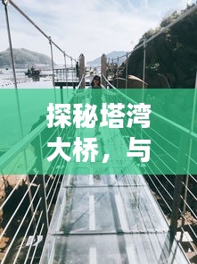 探秘塔湾大桥，与自然美景的邂逅